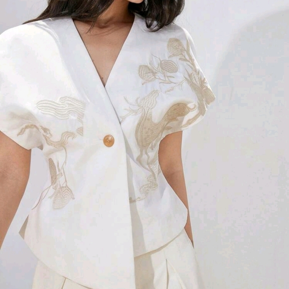 Elegant Embroidered Front Design Tailored Fit Blouse - Picture 1 of 6